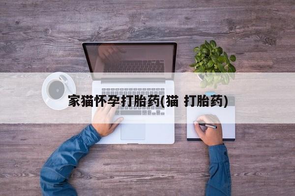 米非米索货到付款家猫怀孕打胎药(猫 打胎药)